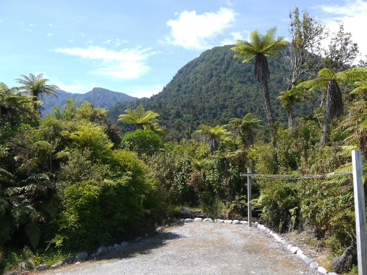 Franz Josef Treetops Zewnętrze zdjęcie