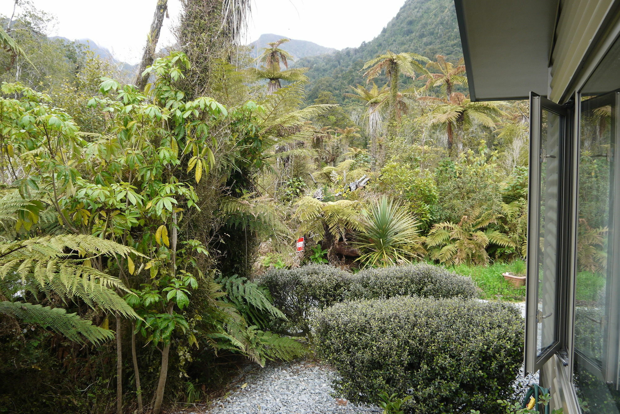 Franz Josef Treetops Zewnętrze zdjęcie